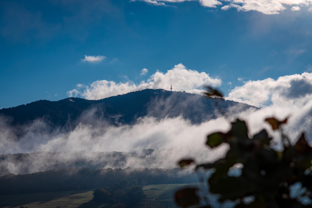 Blick zum Blauen